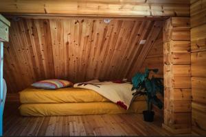 Arctic log house Hirvas