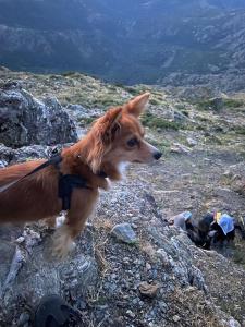 Sa Domo de Lillo e Arturo img5