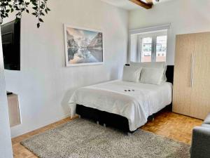 Cosy attic flat Lausanne center