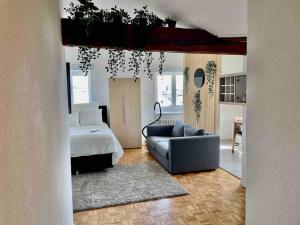 Cosy attic flat Lausanne center