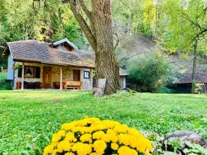 Kuca za odmor Todorovica mlin - Mutanj