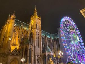 Appartements Studio Confortable en plein centre Metz : Appartement 1 Chambre