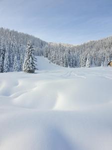 Ferienhaus Schäfer - Apartments - Wintersports - Family holiday - Holiday with your dog - Rural & Scenic