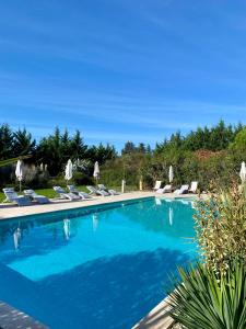 Appartements Gite Crillon - Mas Les Fleurs d'Hilaire : Appartement 1 Chambre