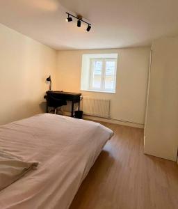 Halle aux Blés- Appartement au Centre Historique