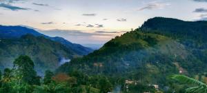 New Ella Nature View