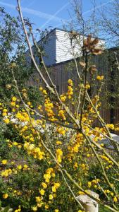 Maisons de vacances Gite Noir Lapin : photos des chambres