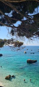 Lions Apartments Vlora