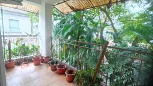 2BHK in Siolim, North Goa Cozy Monsoon Retreat