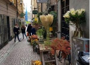 Old Town Stockholm City