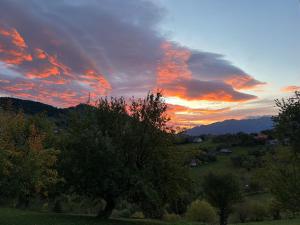 Casa Muchia lui Gîrniță