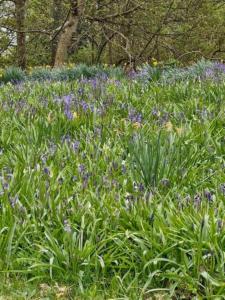 The Garden Flat - Ardullie Lodge