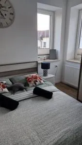 Apartament Gwiazda w Muszynie - 穆希纳
