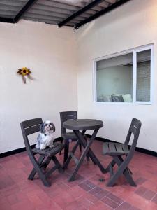 Moderno y acogedor apartamento - Paipa Parque principal