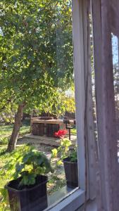 Apartmani Komoč