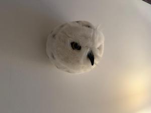 Maison au coeur des Angles