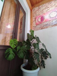 Appartamento Aci SantAntonio