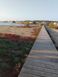 Apartment with Terrace and Sea View room in Apartments Mirana