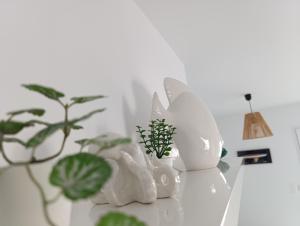 Appartements Studio des Haras : photos des chambres