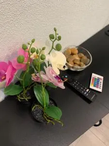 Sunset Serenity - Chub Cay