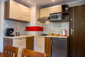 Apartament Halo Wisła