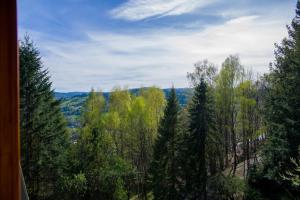 Apartament Halo Wisła