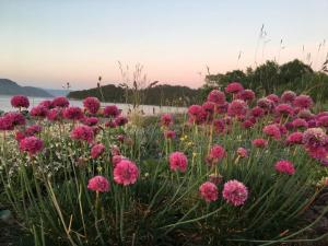 Moderne Rorbu helt i sjøkanten