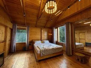 The Cabin Dalhousie - Banikhet