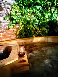 Casa Zina - inchiriere integrala