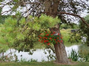 Au chemin du paradis Gîte de 10 personnes 4 Etoiles