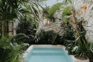 Tropical Design Dream with private Pool