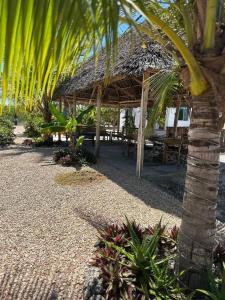 Sunset zanzibar lodge