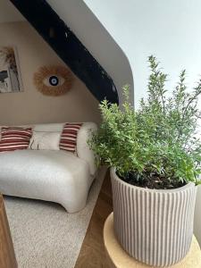 Appartements Suite Myrtus haut de gamme : Appartement 1 Chambre