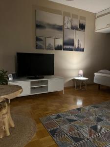 Apartment Ahkio North