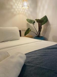 Villa Hideout