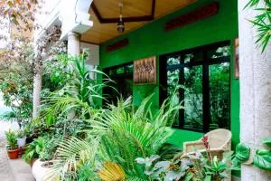 Hide Flowers - 卡巴莱