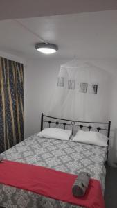 The Rabbit Hole Hostel Fira