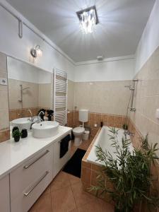 Picúr és Manó Apartmanja