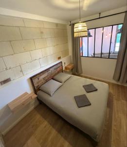 Appartements Studio Lumiere, 6 min du Zoo : Appartement 1 Chambre