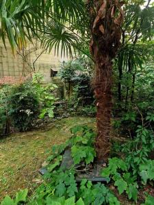 Appartements Charmant Studio au Coeur de Boulogne avec jardin : photos des chambres