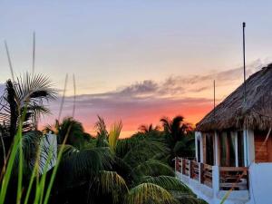 Casa Iguana hotel boutique