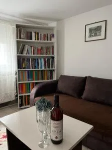 Apartment Gray - Babušnica