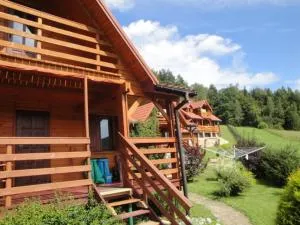 Domki pod Lasem - 赖曼瑙-兹德鲁伊