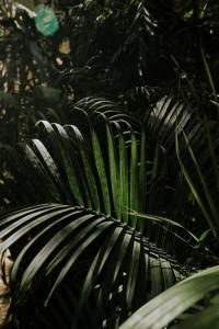 DESIGN CASA SANDALO with private pool and lounge