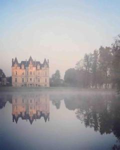 Maisons de vacances Chateau du Maurier : photos des chambres