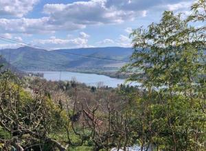 Mediterrán Vendégház