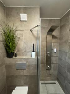 Unique Lipno Apartment