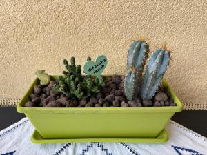 Grellys House - Holiday in Rome - 50 meters from the Metro