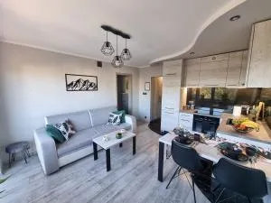 66 Mrówka Apartament - Wyczerpy