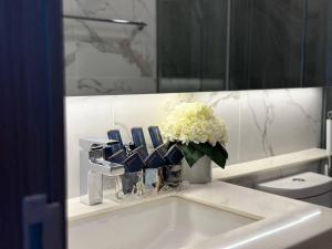 长康路全新房2卧Astra五星级高端公寓7楼